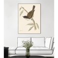 thumbnail image 2 of Giant Art Canvas  30x40 Engraved Birds II Framed in Multi-Color, 2 of 3