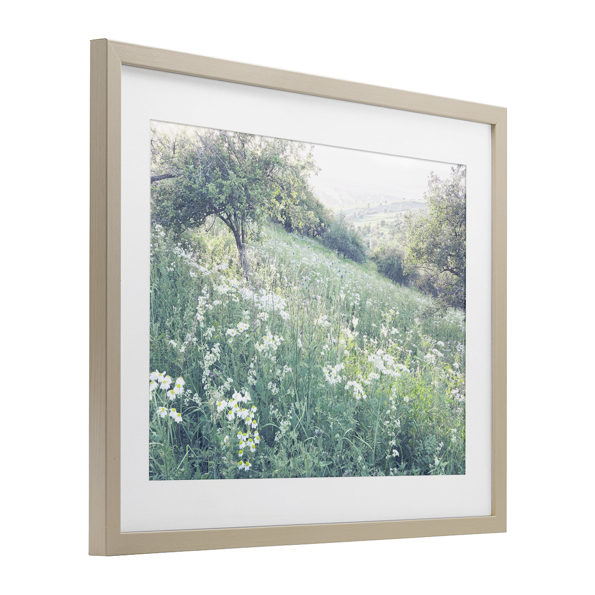 Stupell Industries Sunny Daisies in Meadow Birch Framed Print Under Glass, design by Leah Straatsma