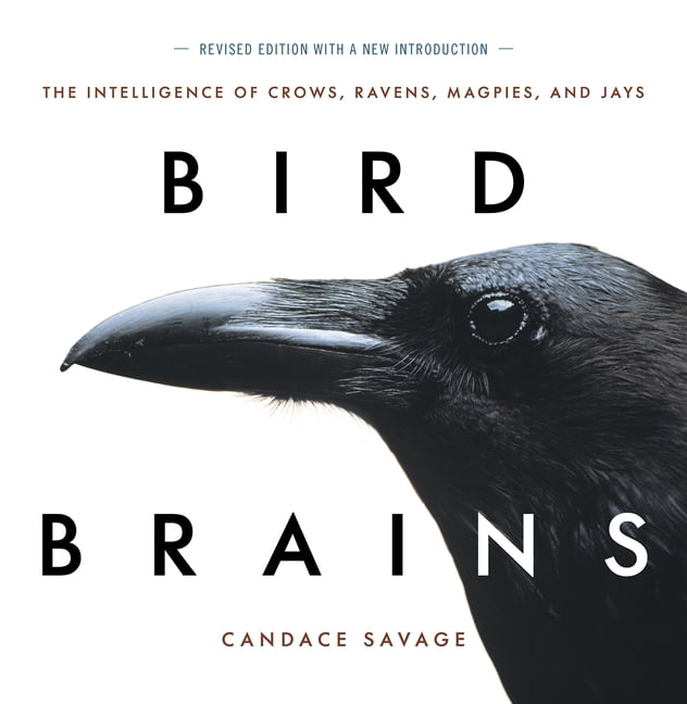 Bird Brains The Intelligence of Crows, Ravens, Magpies, and Jays