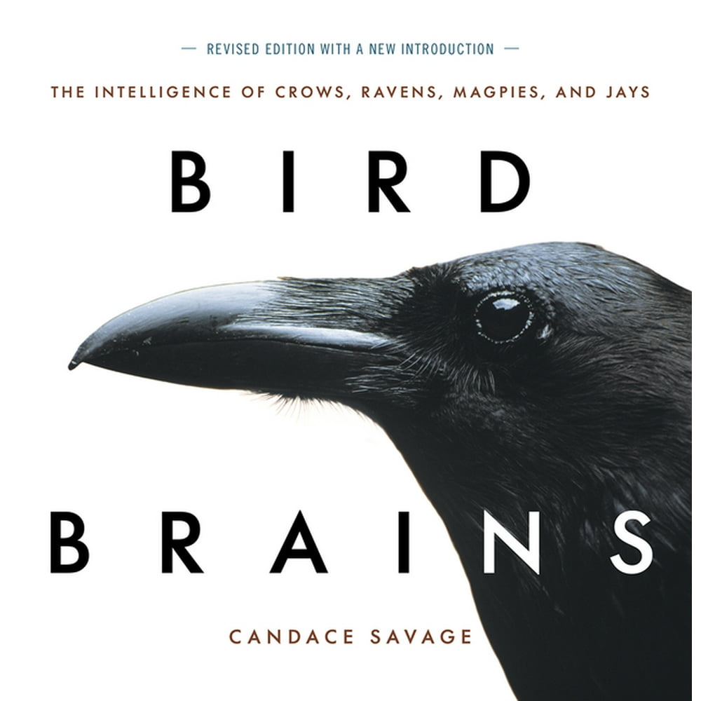 Bird Brains : The Intelligence of Crows, Ravens, Magpies, and Jays