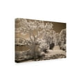 thumbnail image 2 of Trademark Fine Art 'Bridge And Trees At Japanese Gardens Delray Beach Florida' Canvas Art by Monte Nagler, 2 of 3