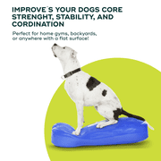FitPAWS® K9FITbone® - Giant | Dog Balance Training Platform & Exercise Equipment | Workout Tool for Strength, Core & Stability - Sky Blue