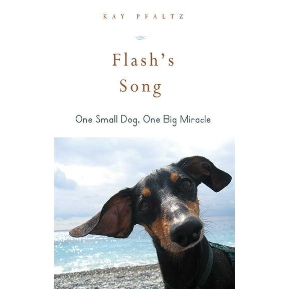 Flash's Song : How One Small Dog Turned into One Big Miracle (Hardcover)