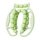 thumbnail image 1 of Rodillo de masaje manual de 23 ruedas con abrazadera circular para piernas, masajeador de fascia y músculos relajantes. Verde, 1 of 9