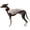 Pink, variant on HQREA Greyhound Dog Shirt UPF50+Sun Shirt Quick-Dry Dog Cooling Vest Pet Tank Top for Whippet