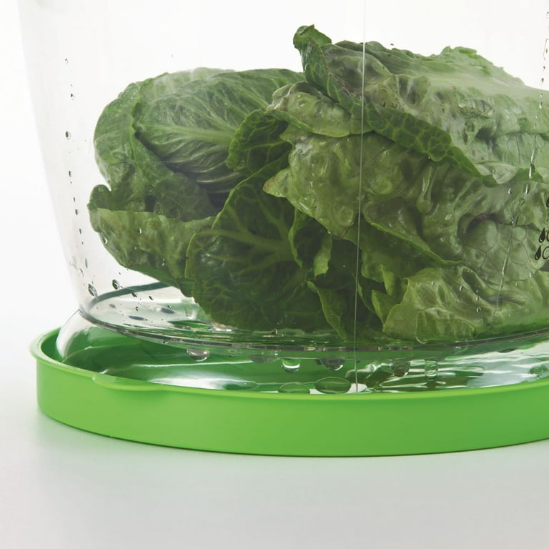 Progressive Prepworks Lettuce Keeper Food Storage, 4.7 Qt, Green Lid, Clear