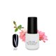 thumbnail image 1 of Nail Gel Topcoat Nail Art Polish Top Coat Gel DIY Nail Manicure Tool 257, 1 of 3