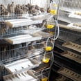 thumbnail image 2 of Práctico Bebedero De Codorniz Bebedero Para Palomas Palomas Y Otras Aves Para Sistema De Riego De Aves De Codorniz Herramientas Agrícolas ANGGREK Otros, 2 of 8