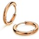 thumbnail image 1 of 316L Surgical Stainless Steel Huggie Hoop Earrings 10mm Cartilage Helix Lobes Daith Conch Rook Septum Rings Ear Piercing Jewelry, 1 of 4