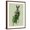 Brown Frame, variant on Art.com Lady Bella Rabbit Taking Tea Art Print by Fab Funky, 12" x 16"
