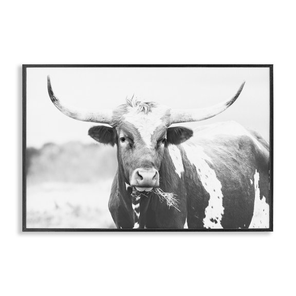 Stupell Industries Farmhouse Two Tone Longhorn Portrait Black Framed Giclee Art, 18 x 12, by Sisi and Seb