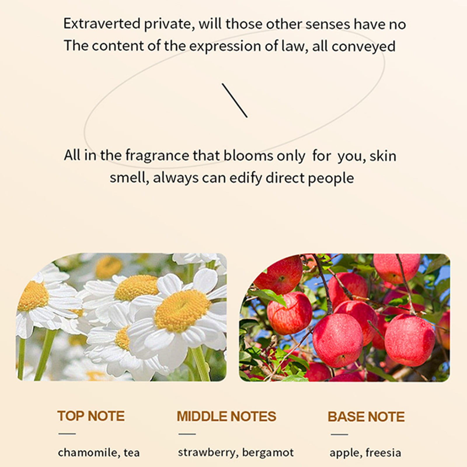 Makeup for Face Hydrating Eye Beauty And Skin Care Booster Skin Lip Lip Plumper Clear Start Toner Collagen Hydrating Glow Lip Smoother Hydrating for Dry Skin Firming Booster Powerful Strength