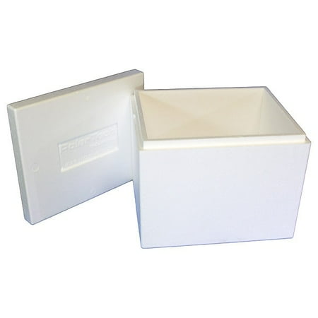 Insulated Shipping Bio Foam & Carton, 1-5 Day, Color: White