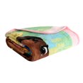 thumbnail image 4 of Disney Princess Kids Throw Blanket, 50" x 60", 4 of 4