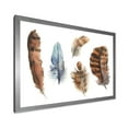 thumbnail image 2 of Designart 'Ethnic Boho Feathers In Earth Tones On White' Bohemian & Eclectic Framed Art Print, 2 of 4