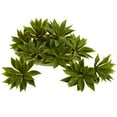thumbnail image 1 of Mini Plante Succulente Agave (Ensemble de 12), 1 of 5