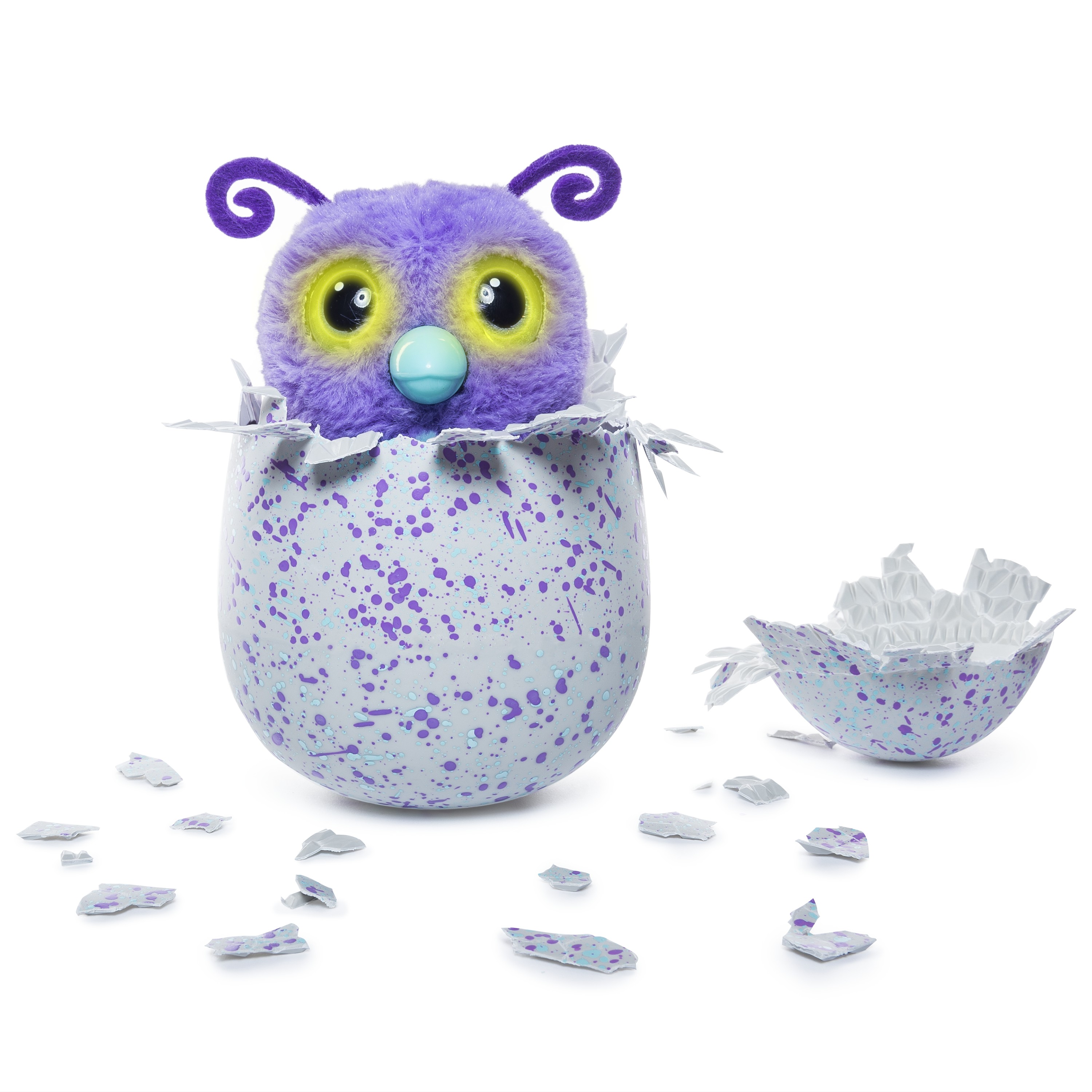 Hatchimals - Hatching Egg - Interactive Creature - Burtle - Purple/Teal Egg - Walmart Exclusive by Spin Master - image 5 of 7