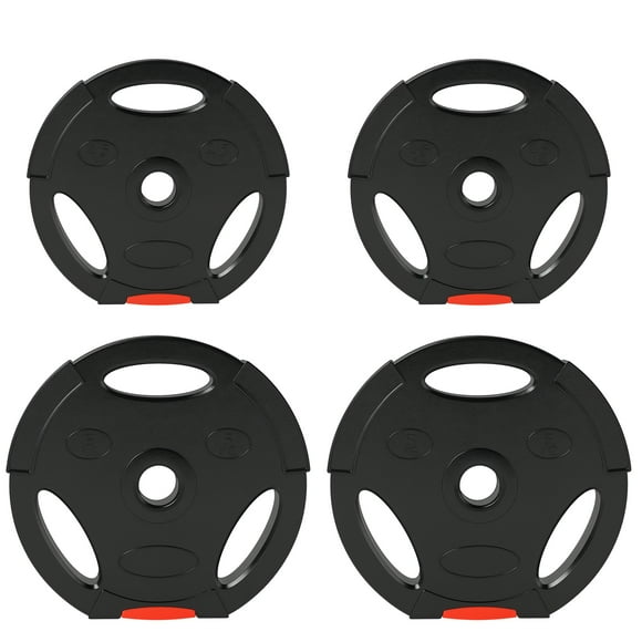 Soozier Set of 4 1-Inch Weight Plates with 3 Grips, 2 x 11lbs + 2 x 5.5lbs