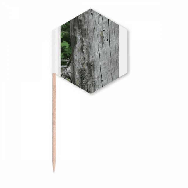 Gray-White Cracked Trunk Art Deco Fashion Toothpick Flags Cupcake Picks Party Celebration