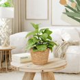 thumbnail image 4 of HLONK Seagrass Planter Basket Wicker Flower Pot with Liner - 25cm, 4 of 10
