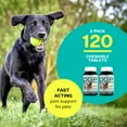 thumbnail image 3 of American BioSciences DGP Joint Supplement for Dogs - Joint Support with Turmeric, Boswellia Extract & More - Quick Effect for Immediate Mobility Support - 60 All-Natural Chewable Pet Tablets (2 Pack), 3 of 7