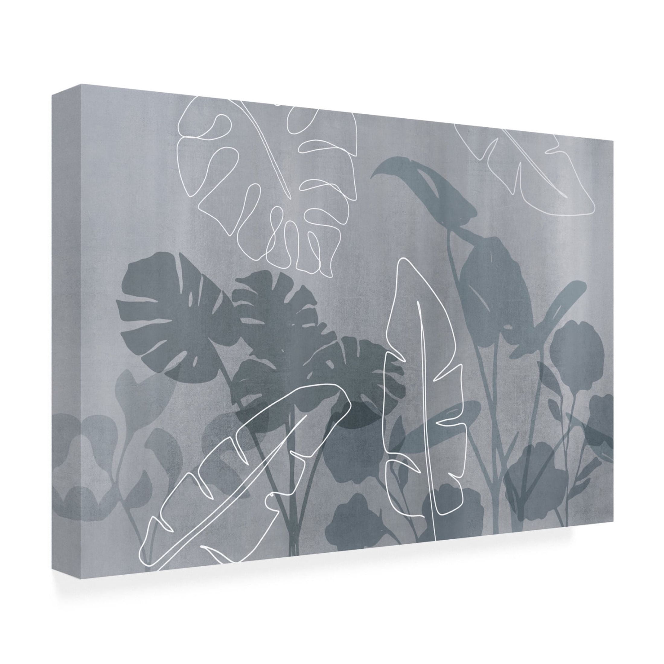 Trademark Fine Art Andrea Haase Abstract Botanical and Line Canvas Wall Art
