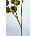 thumbnail image 5 of 19" Faux Green Pod Stem, 5 of 6
