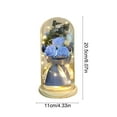 thumbnail image 3 of Fasiaou Mothers Day Mom Gifts: LED Galaxy Glass Flower Forever Rose in Glass Dome, Light Up Preserved Roses for Women, Mothers Day Birthday Gifts and Valentines Day Presents for Her,Blue, 3 of 6