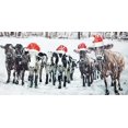 thumbnail image 3 of Curious christmas cows - 24"x48" canvas - Print on demand, 3 of 5