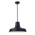 thumbnail image 6 of Craftmade Lighting - Briscoe - 1 Light Outdoor Pendant-10.24 Inches Tall and, 6 of 9