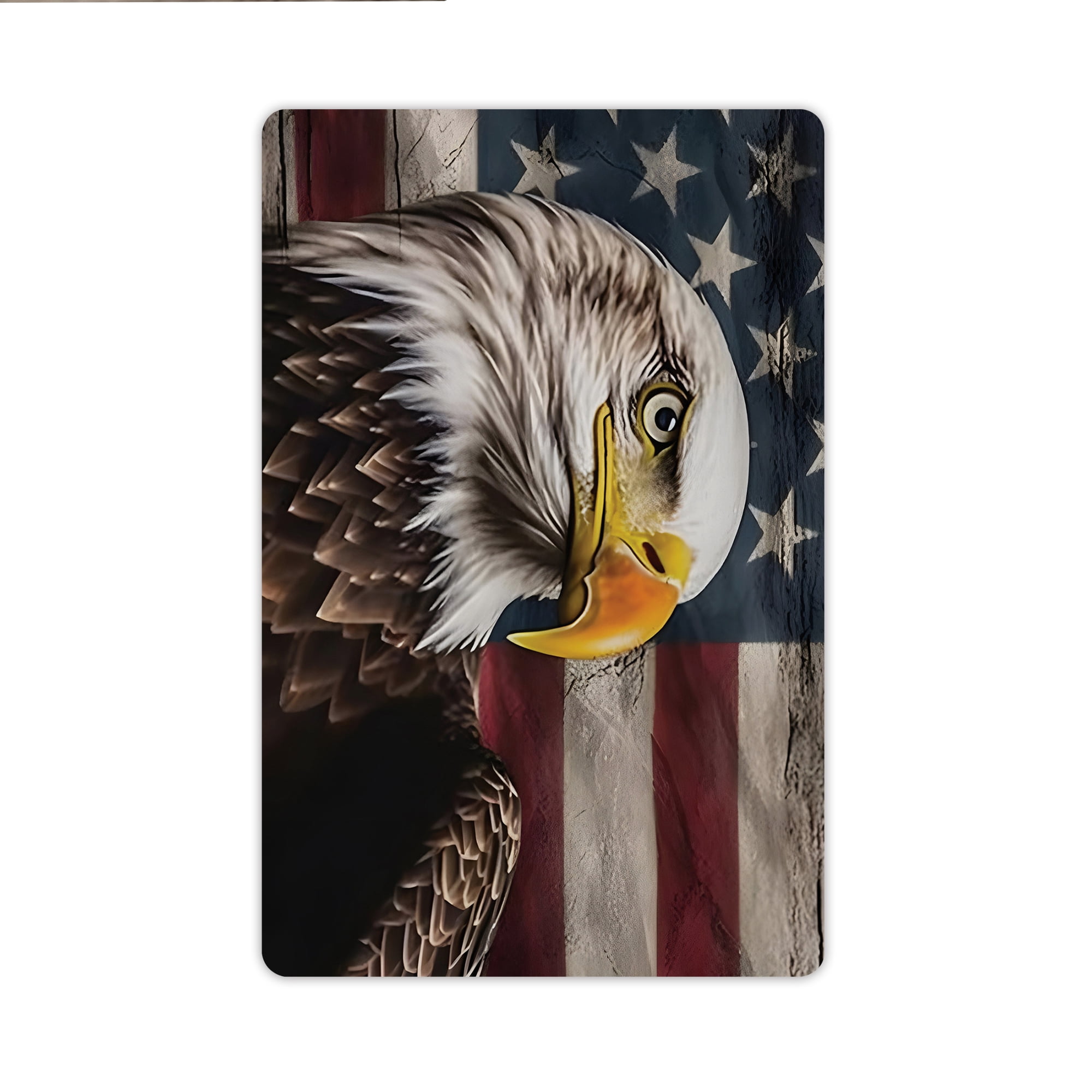 JML Doormat, Non-Slip Indoor Outdoor Rug Mats for Porch Entry Way, Floor Mat for Bathroom/Kitchen, (16"x24") - Eagle and American Flag