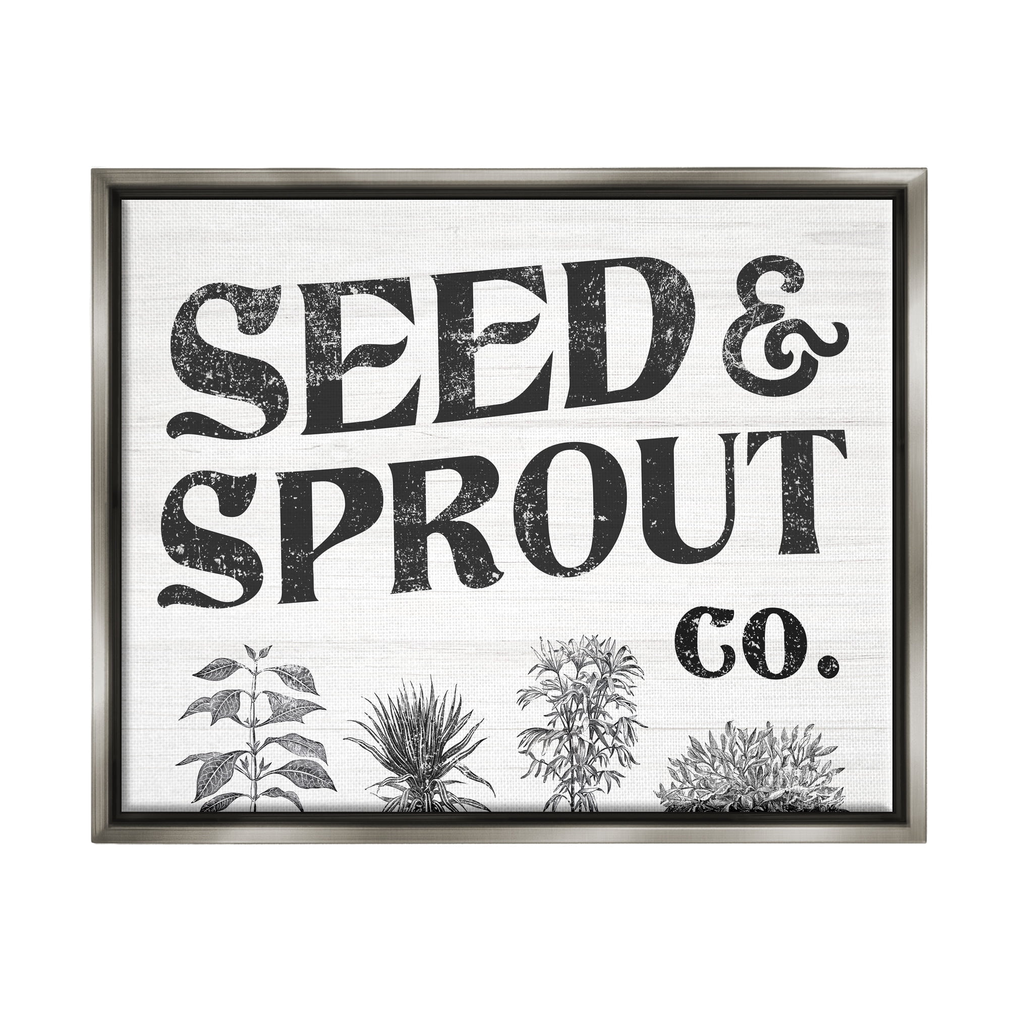 Stupell Industries Seed & Sprout Antique Botanicals Gardening Typography Graphic Art Luster Gray Floating Framed Canvas Print Wall Art, Design by Daphne Polselli