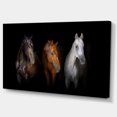 thumbnail image 2 of Chevaux Noirs Rouges et Blancs - Impression sur Toile d'Art Animalier, 2 of 3