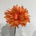thumbnail image 3 of ORANGE GERBERA DAISY, 3 of 3