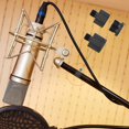 thumbnail image 4 of LOVEVER Support de Microphone Micro Bras Perche Ensemble Adaptateurs de Filetage de Micro-5/8 Femelle vers 3/8 Mâle et 5/8 1/4 Etc., 4 of 6