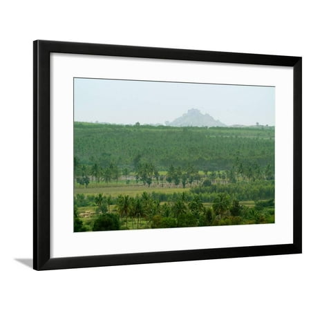 View of Bangalore Plateau with Palm Plantation and Granite Outcrop Framed Print Wall