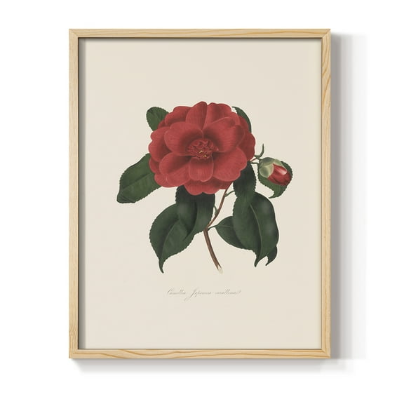 Vintage Floral Print CXCIII - 10in. x 8in. Vintage Framed Print in Natural Wood Frame