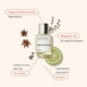 thumbnail image 2 of Perfume Dossier Eau de Parfum aromático de anís estrellado, 50 ml, para hombre, 2 of 5