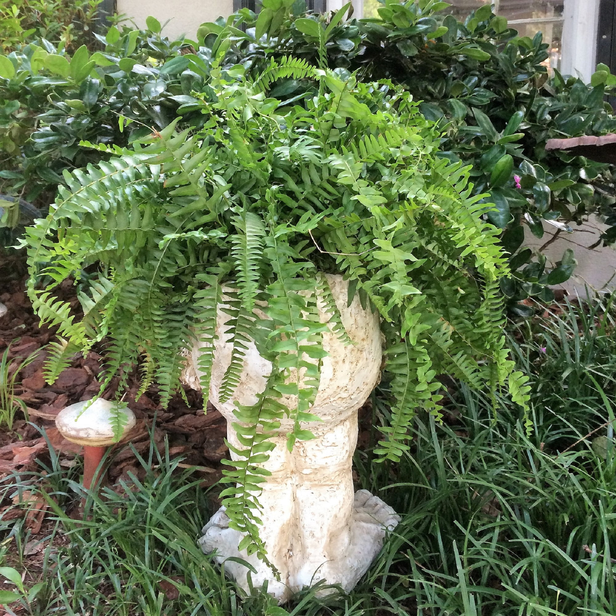 18 In. Antique White Axle The Muggly Statue Face Planter Holds 7 In. Pot