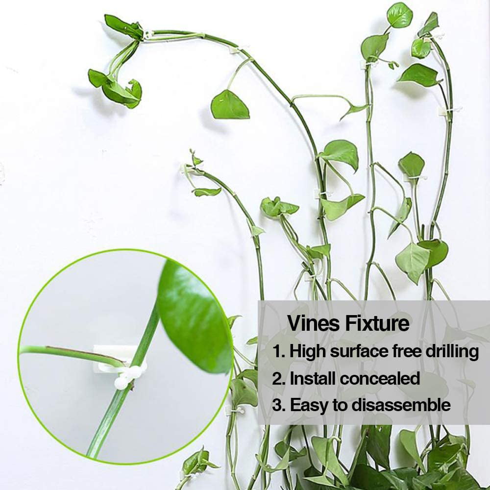 10x Plant Climbing Wall Clip Invisible Wall Vine Fixture Wall Sticky Hook Holder