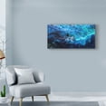 thumbnail image 3 of Trademark Fine Art 'All My Waves Mother And Baby Bottlenose Dolphin' Canvas Art by Lucy P. Mctier, 3 of 3