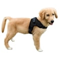 thumbnail image 1 of Arnés para perros Copatchy sin tirones, reflectante, ajustable, negro, XS, 1 of 8