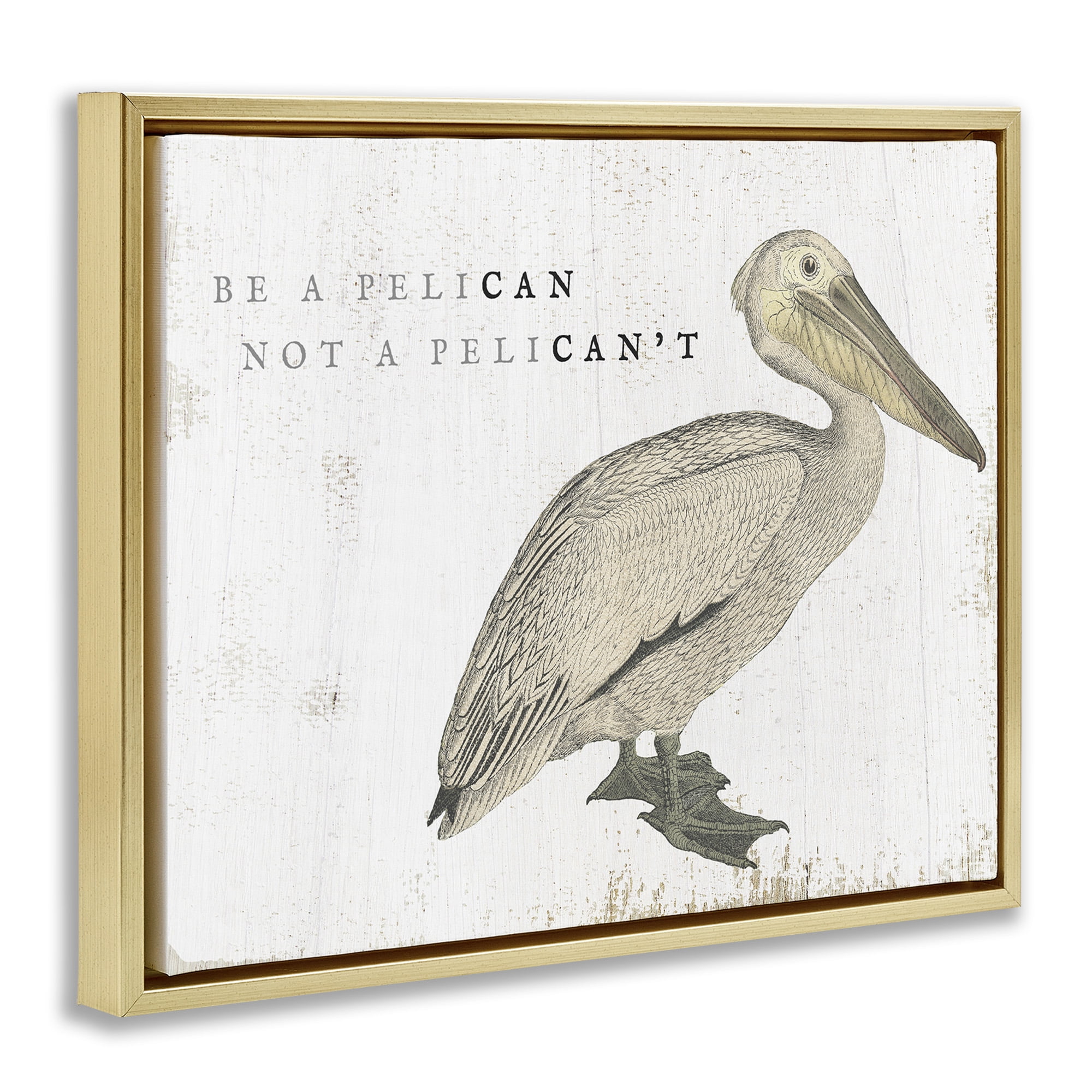 Stupell Industries Funny Pelican Beach Phrase Pun Typography Painting Gold Floater Framed Canvas Art Print Wall Art, 21 x 17
