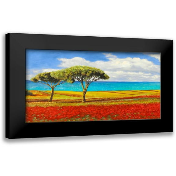 Angelo, Masera 14x9 Black Modern Framed Museum Art Print Titled - Mediterraneo (detail)