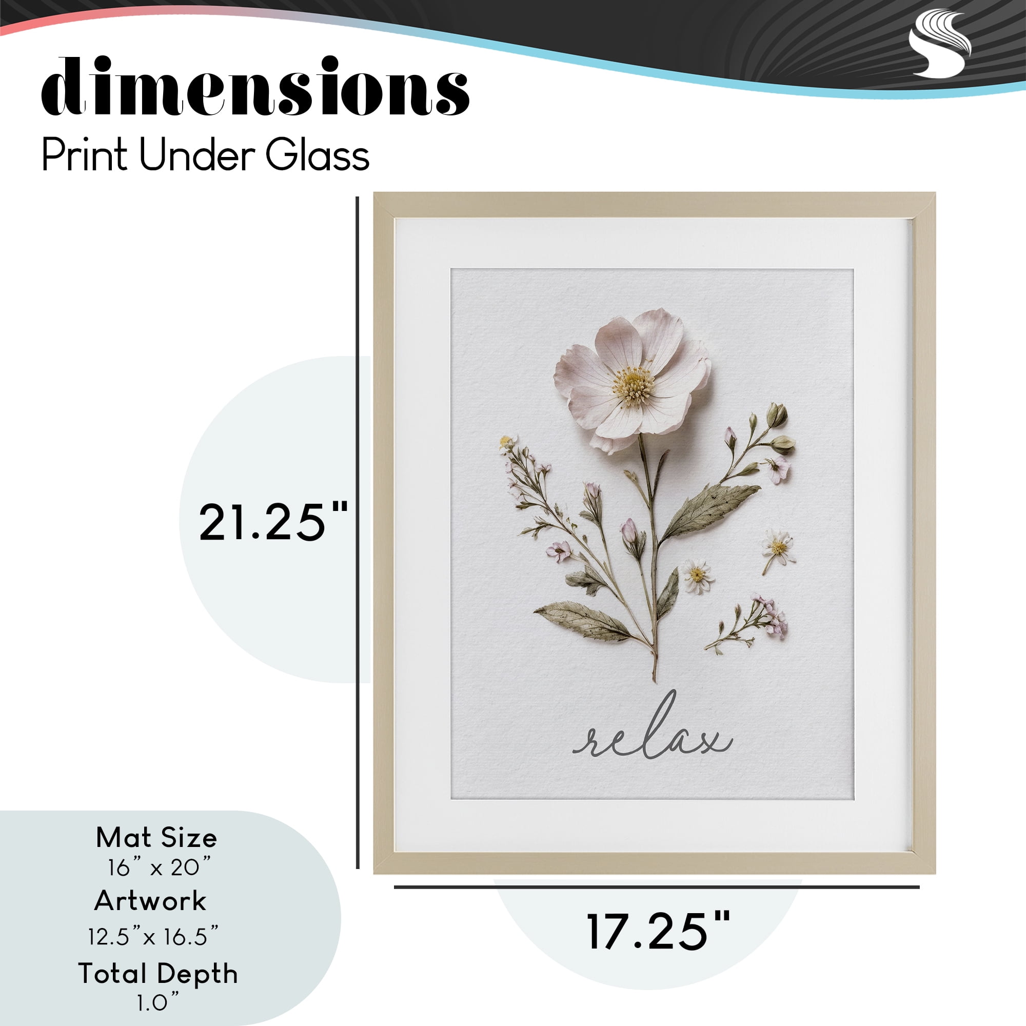Pressed Flowers Relax Birch Framed Print Under Glass, design by Lettered and Lined
