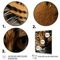 thumbnail image 3 of Designart "Brown Leopard Textures Of " Animals Wall Decor, 3 of 5
