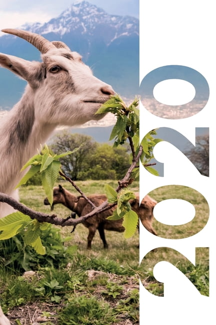 unique gifts for goat lovers