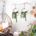 thumbnail image 4 of Plantas suculentas colgantes artificiales CEWOR con cordón, 2 unidades, blancas, 4 of 7