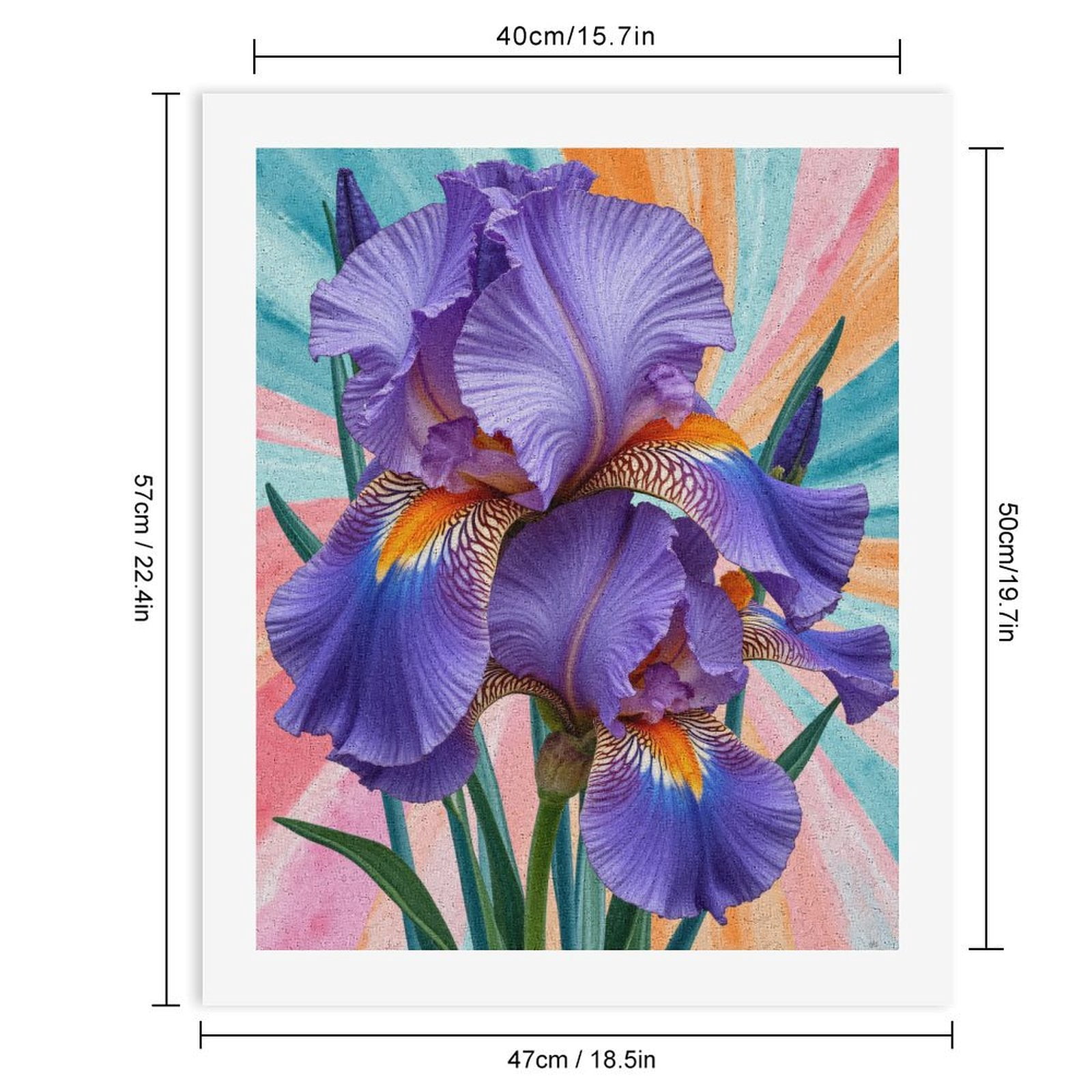 Paint By Numbers Kit for Adults Beginner - DIY Colorful Iris Petals Abstract Art Canvas Painting Kits for Adults, Frameless Paint By Number for Adults for Home Wall Decor 16x20 Inch