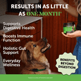 thumbnail image 2 of Pet Honesty Probiotics Gut + Immune Health Pumpkin Flavored Soft Chews, Digestive Probiotic Supplement for Dogs, 90 count, 2 of 8